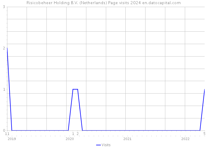 Risicobeheer Holding B.V. (Netherlands) Page visits 2024 