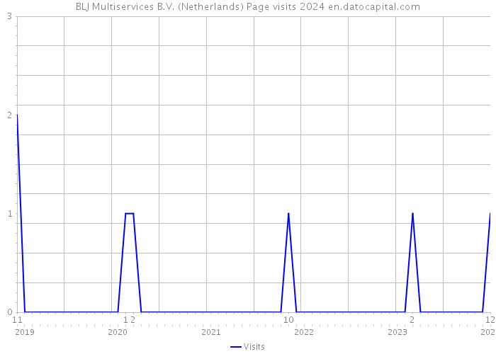 BLJ Multiservices B.V. (Netherlands) Page visits 2024 