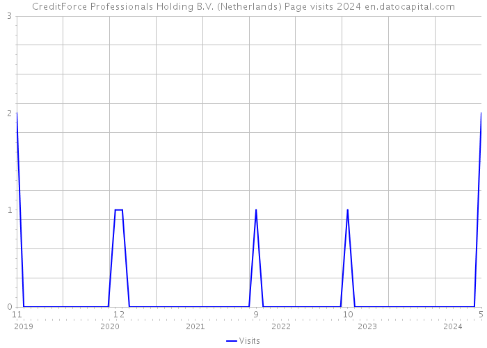 CreditForce Professionals Holding B.V. (Netherlands) Page visits 2024 