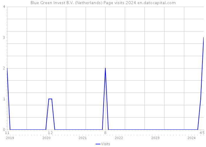 Blue Green Invest B.V. (Netherlands) Page visits 2024 
