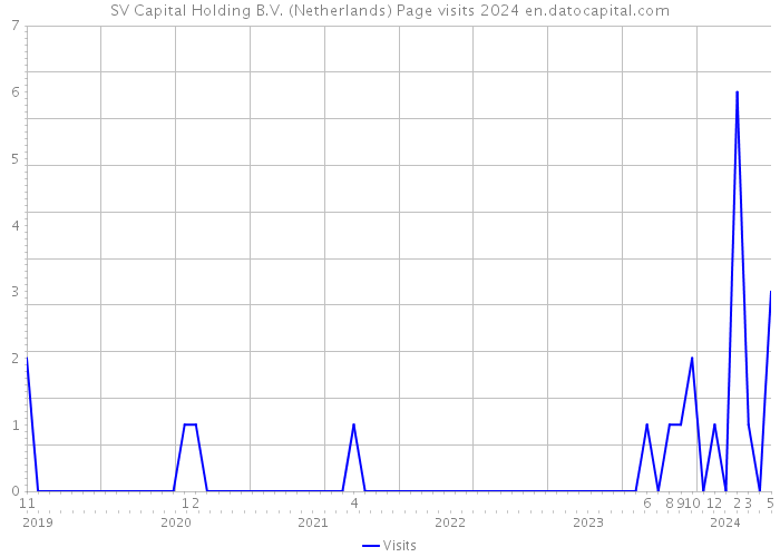 SV Capital Holding B.V. (Netherlands) Page visits 2024 
