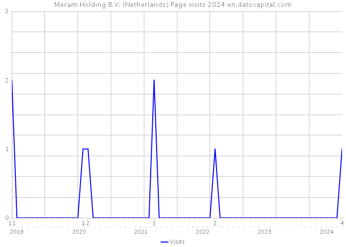 Meram Holding B.V. (Netherlands) Page visits 2024 