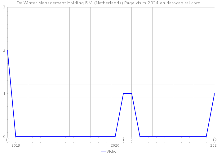 De Winter Management Holding B.V. (Netherlands) Page visits 2024 