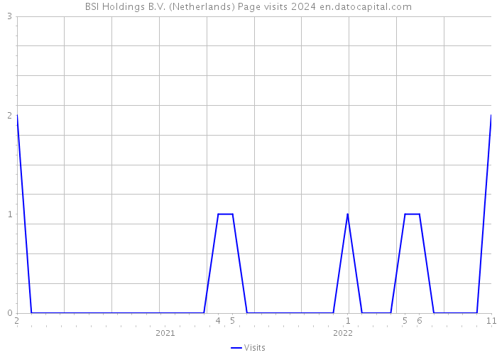 BSI Holdings B.V. (Netherlands) Page visits 2024 