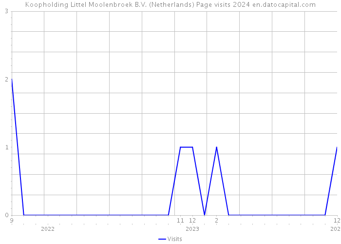 Koopholding Littel Moolenbroek B.V. (Netherlands) Page visits 2024 