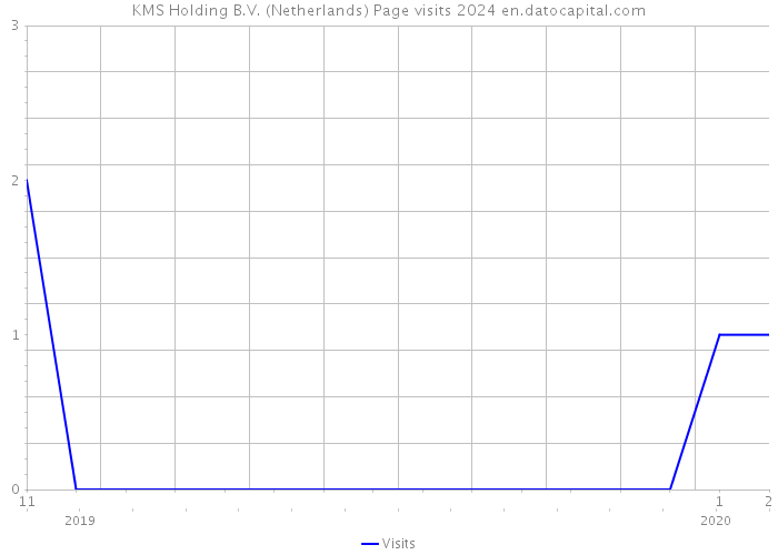 KMS Holding B.V. (Netherlands) Page visits 2024 
