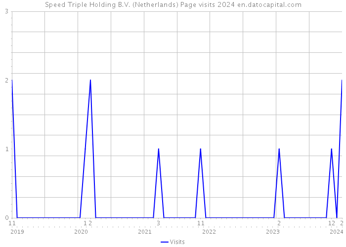 Speed Triple Holding B.V. (Netherlands) Page visits 2024 