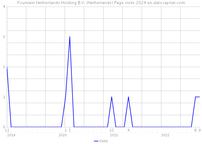 Fountain Netherlands Holding B.V. (Netherlands) Page visits 2024 