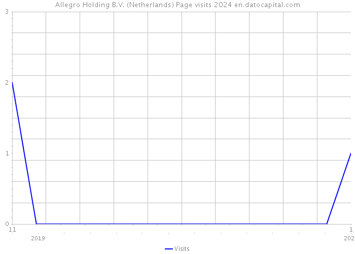 Allegro Holding B.V. (Netherlands) Page visits 2024 