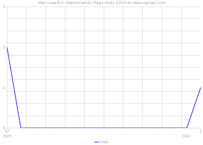 Marcosta B.V. (Netherlands) Page visits 2024 