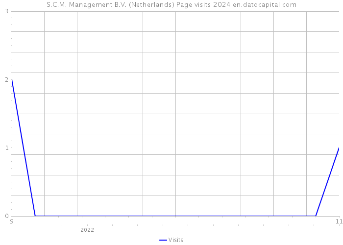 S.C.M. Management B.V. (Netherlands) Page visits 2024 