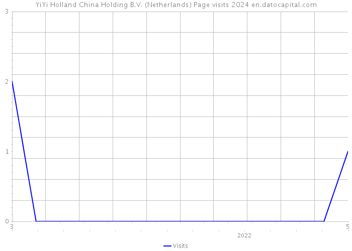 YiYi Holland China Holding B.V. (Netherlands) Page visits 2024 