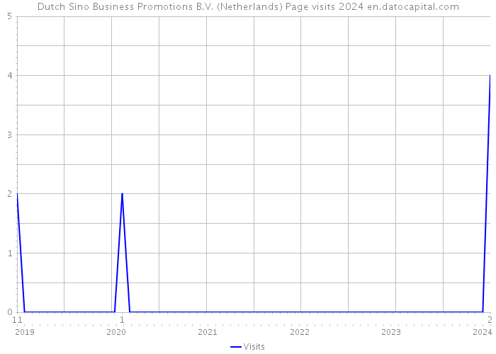 Dutch Sino Business Promotions B.V. (Netherlands) Page visits 2024 