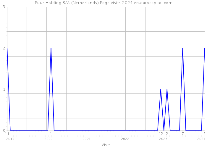 Puur Holding B.V. (Netherlands) Page visits 2024 