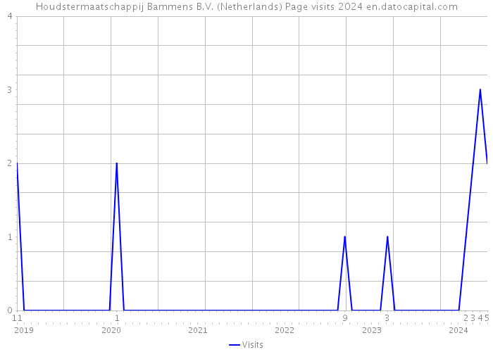 Houdstermaatschappij Bammens B.V. (Netherlands) Page visits 2024 