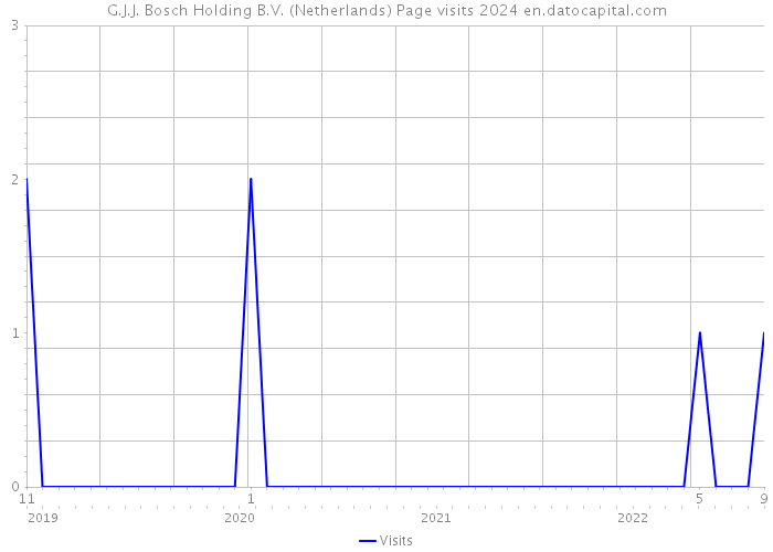 G.J.J. Bosch Holding B.V. (Netherlands) Page visits 2024 