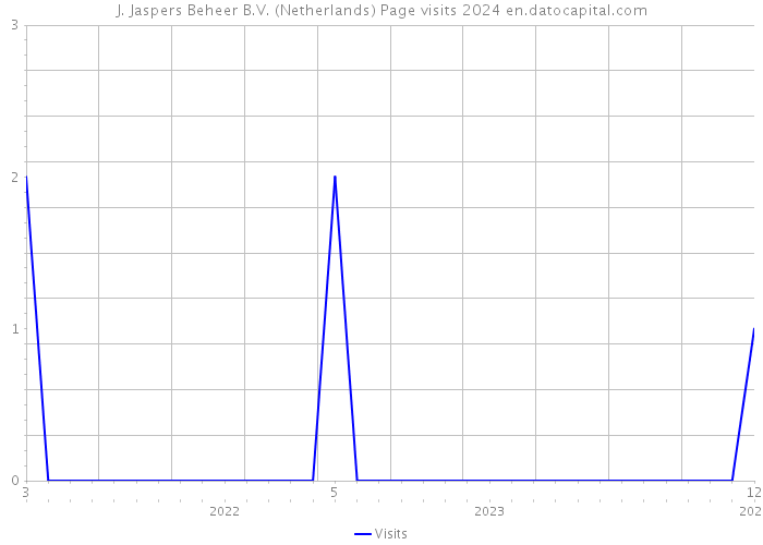 J. Jaspers Beheer B.V. (Netherlands) Page visits 2024 