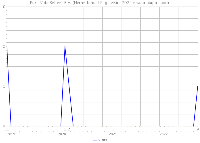 Pura Vida Beheer B.V. (Netherlands) Page visits 2024 