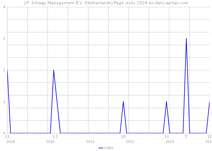 J.P. Schaap Management B.V. (Netherlands) Page visits 2024 