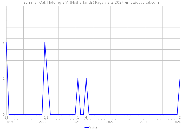 Summer Oak Holding B.V. (Netherlands) Page visits 2024 