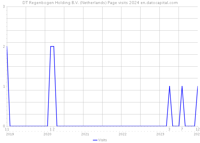DT Regenbogen Holding B.V. (Netherlands) Page visits 2024 