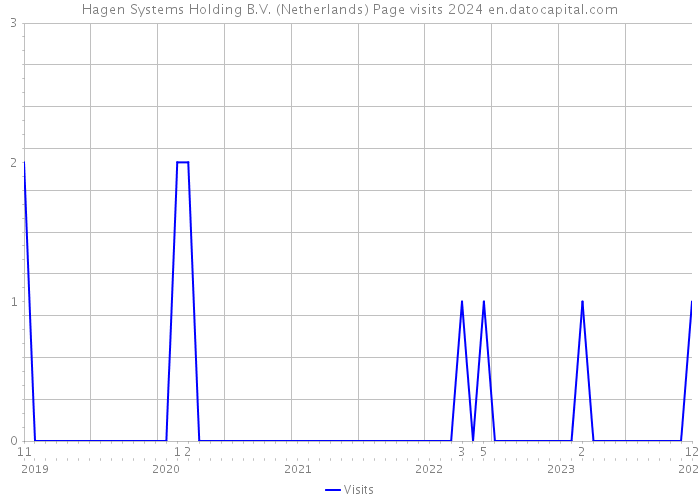 Hagen Systems Holding B.V. (Netherlands) Page visits 2024 