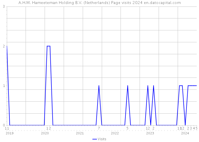 A.H.M. Hameeteman Holding B.V. (Netherlands) Page visits 2024 