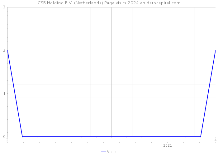 CSB Holding B.V. (Netherlands) Page visits 2024 