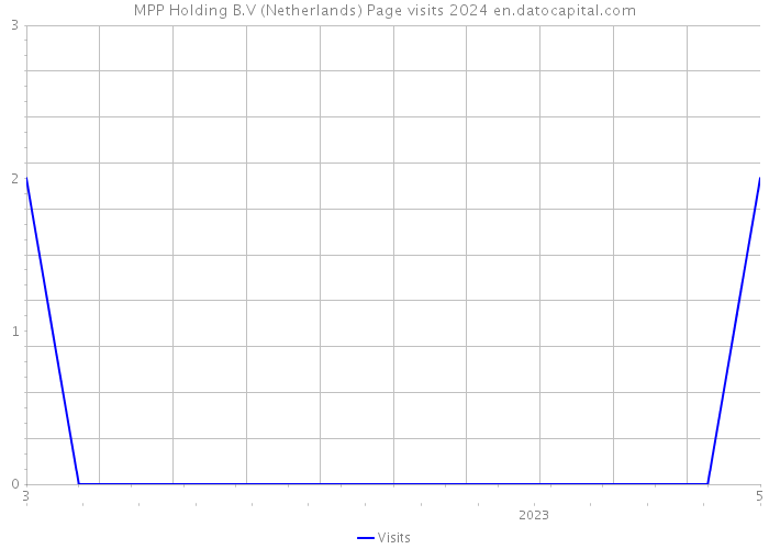 MPP Holding B.V (Netherlands) Page visits 2024 