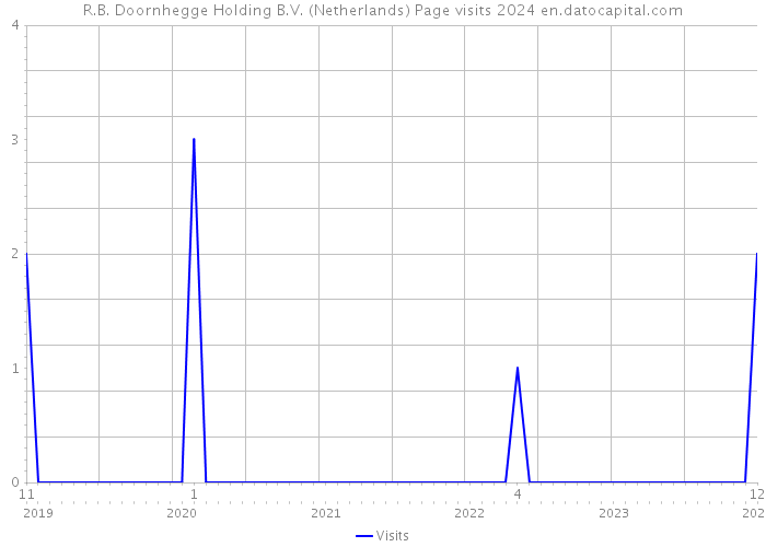 R.B. Doornhegge Holding B.V. (Netherlands) Page visits 2024 