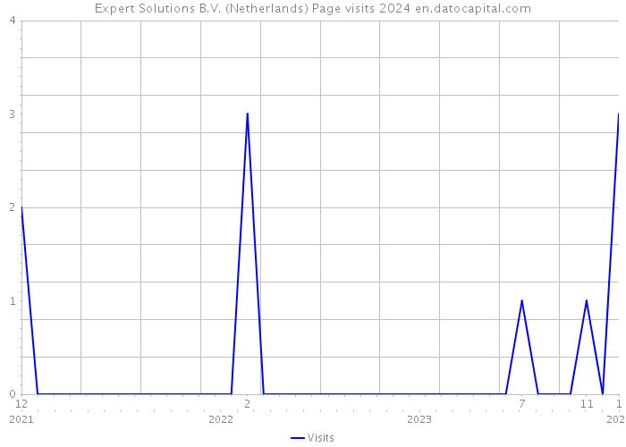 Expert Solutions B.V. (Netherlands) Page visits 2024 