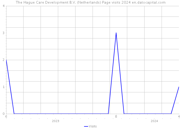 The Hague Care Development B.V. (Netherlands) Page visits 2024 