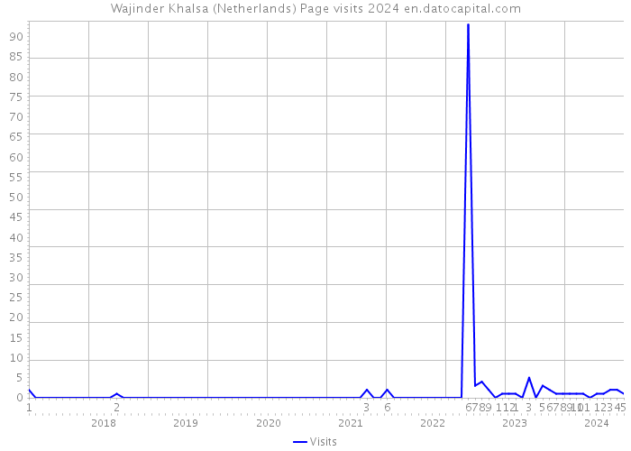 Wajinder Khalsa (Netherlands) Page visits 2024 