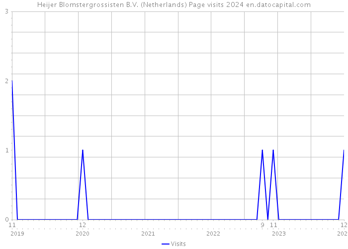 Heijer Blomstergrossisten B.V. (Netherlands) Page visits 2024 