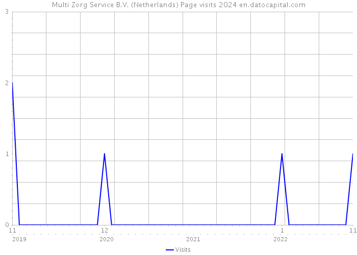 Multi Zorg Service B.V. (Netherlands) Page visits 2024 