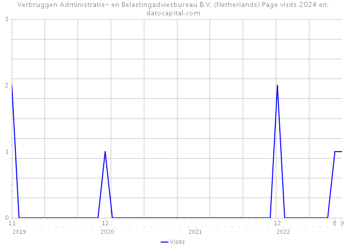Verbruggen Administratie- en Belastingadviesbureau B.V. (Netherlands) Page visits 2024 