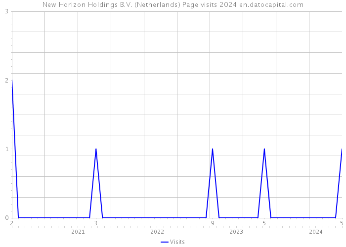 New Horizon Holdings B.V. (Netherlands) Page visits 2024 