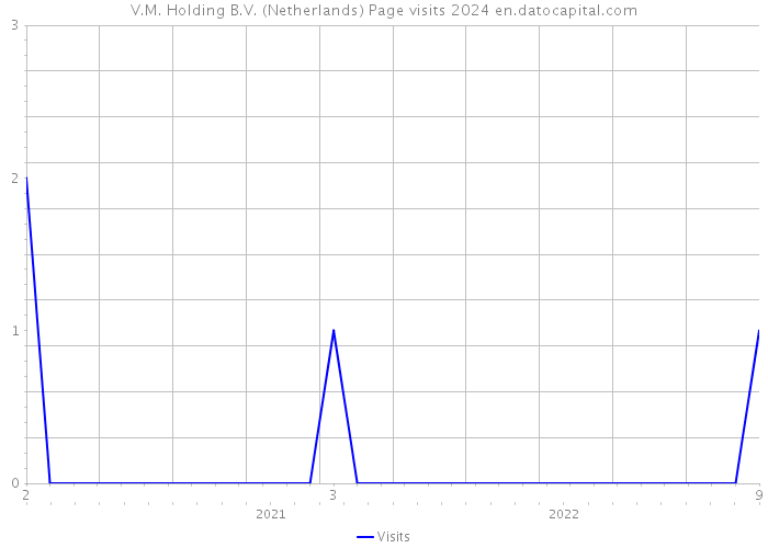 V.M. Holding B.V. (Netherlands) Page visits 2024 