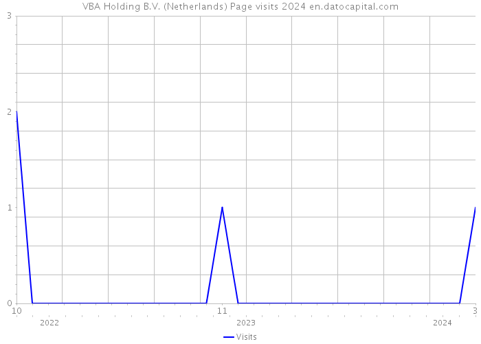 VBA Holding B.V. (Netherlands) Page visits 2024 