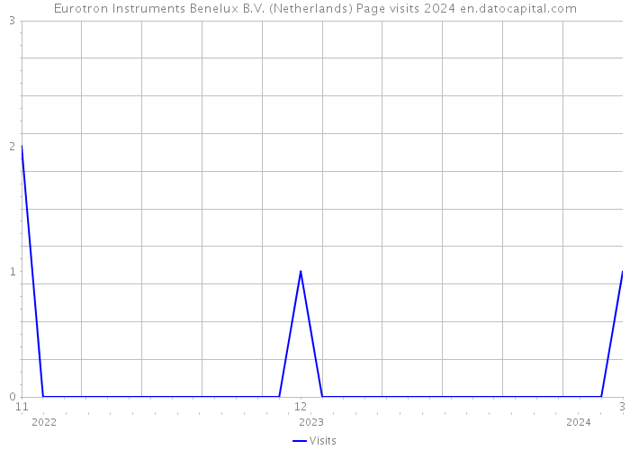 Eurotron Instruments Benelux B.V. (Netherlands) Page visits 2024 