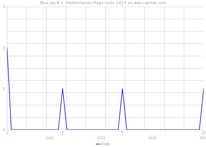 Blue Jay B.V. (Netherlands) Page visits 2024 