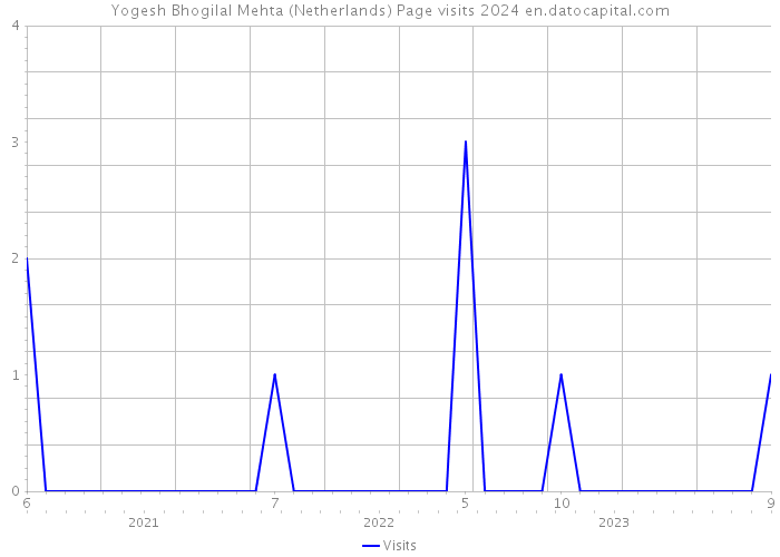 Yogesh Bhogilal Mehta (Netherlands) Page visits 2024 