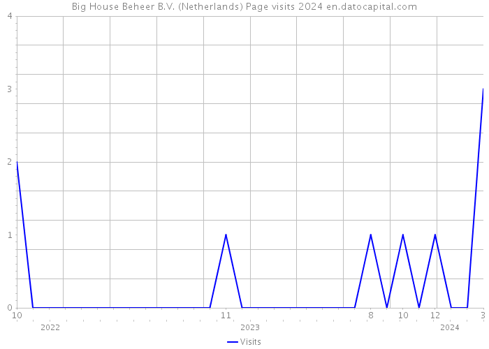 Big House Beheer B.V. (Netherlands) Page visits 2024 