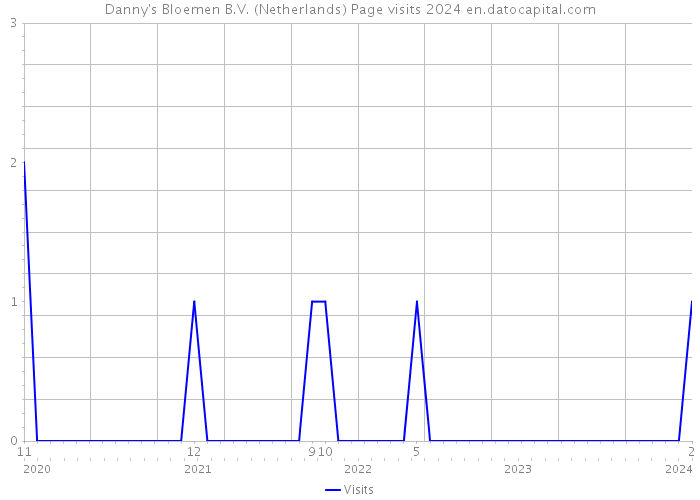 Danny's Bloemen B.V. (Netherlands) Page visits 2024 