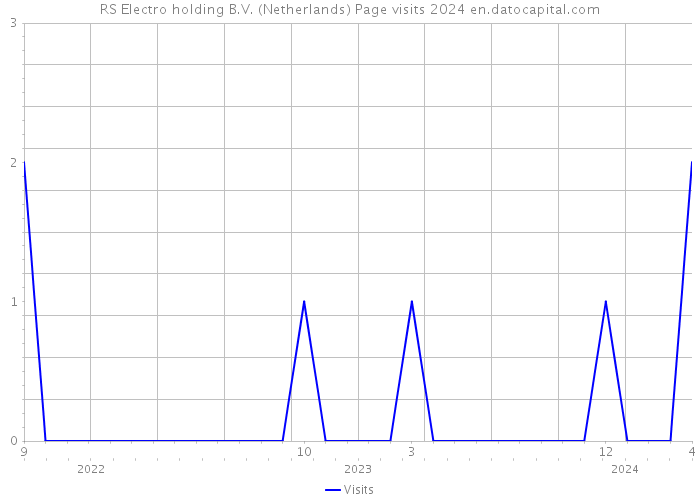 RS Electro holding B.V. (Netherlands) Page visits 2024 