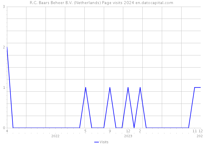 R.C. Baars Beheer B.V. (Netherlands) Page visits 2024 