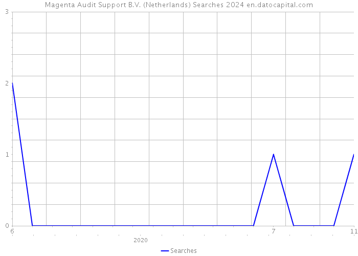 Magenta Audit Support B.V. (Netherlands) Searches 2024 