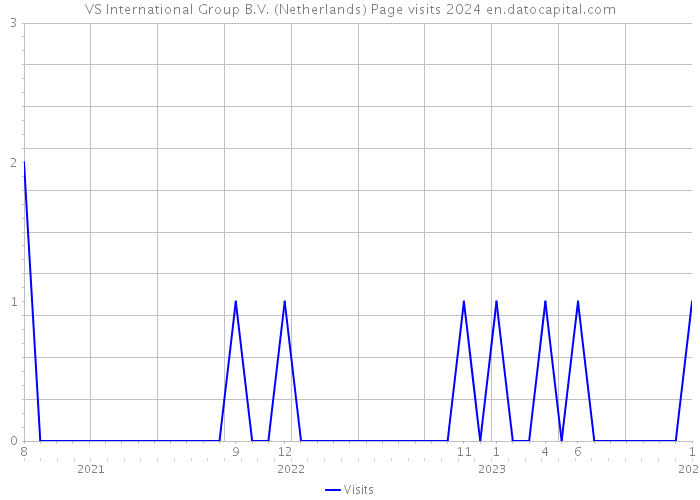 VS International Group B.V. (Netherlands) Page visits 2024 
