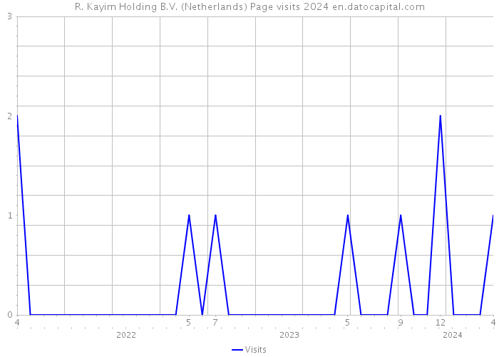 R. Kayim Holding B.V. (Netherlands) Page visits 2024 