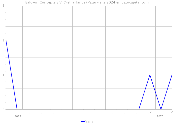 Baldwin Concepts B.V. (Netherlands) Page visits 2024 